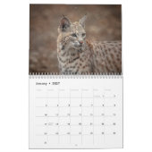 2027 Nordamerikanische Tierwelt | Wilde Tiere Kalender (Jan 2027)