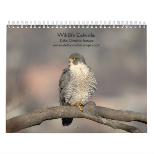 2027 Nordost-Wildlife Vögel & Säugetiere Kalender