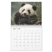 2027 Panda-Kalender Kalender (Mär 2027)
