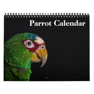 2027 Papageien-Kalender Kalender