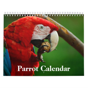 2027 Papageienkalender Kalender