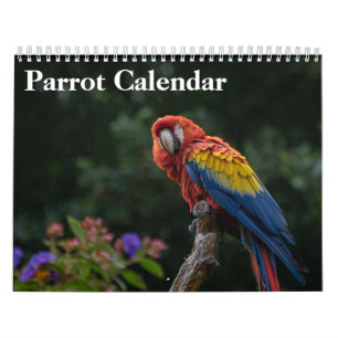 2027 Papageienkalender Kalender