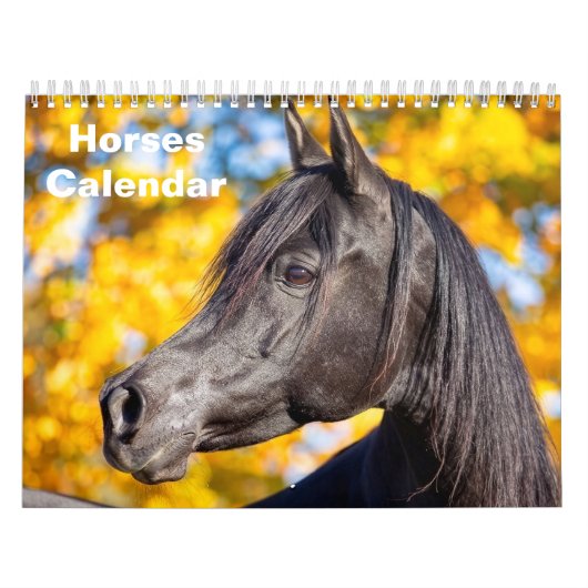 2027 Pferd Kalender (Titelbild)