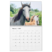 2027 Pferd Kalender (Feb 2027)