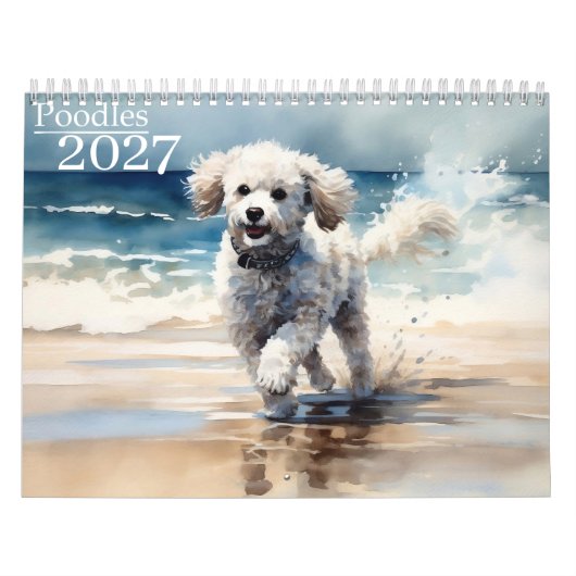 2027 Poodles Kalender (Titelbild)