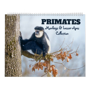 2027 Premier Affen & Kleinere Menschenaffen Kalender