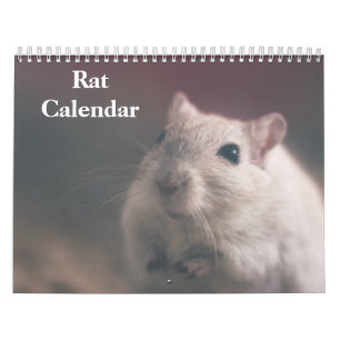 2027 Ratte Kalender