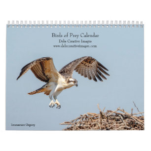 2027 Raubvögel Nordamerikas, Greifvögel Foto Kalender