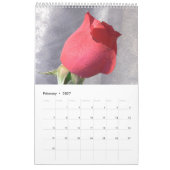 2027 Rosen Einzelner Kalender Kalender (Feb 2027)