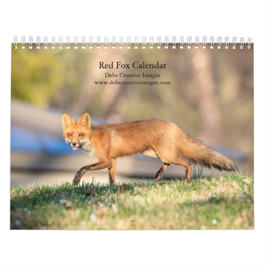 2027 Rote Füchse | Wald-Wildtierfotografie Kalender (Titelbild)