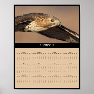 2027 Roter Schwanzbussard-Wandkalender - Raubvogel Poster