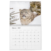 2027 Schneeleopard Kalender (Feb 2027)