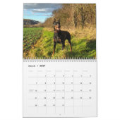 2027 Schöne Dobermänner Kalender (Mär 2027)