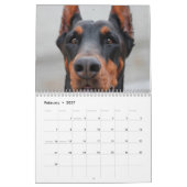 2027 Schöne Dobermänner Kalender (Feb 2027)