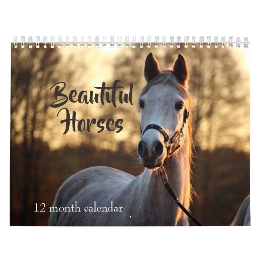 2027 Schöne Pferde Kalender (Titelbild)
