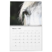 2027 Schöne Pferde Kalender (Feb 2027)