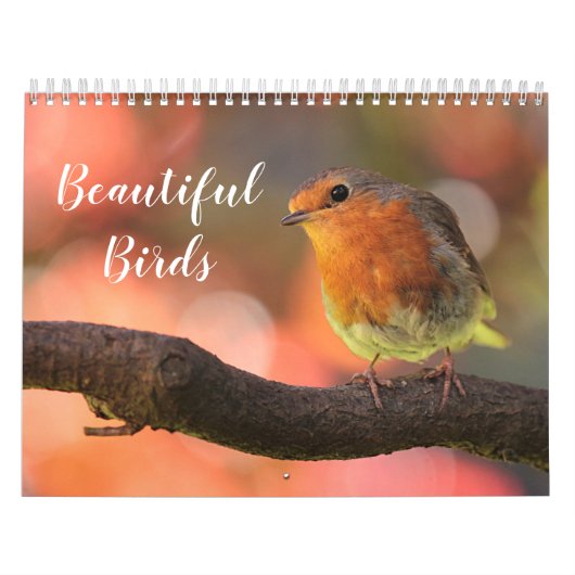 2027 Schöne Vögel Kalender (Titelbild)