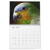 2027 Schöne Vögel Kalender (Mär 2027)