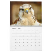 2027 Schöne Vögel Kalender (Jan 2027)