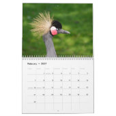 2027 Schöne Vögel Kalender (Feb 2027)