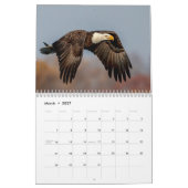 2027 Schöne Vögel | Tierfotografie Kalender (Mär 2027)