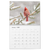 2027 Schöne Vögel | Tierfotografie Kalender (Jan 2027)