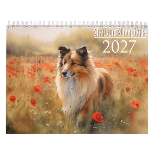 2027 Shetland-Schäferhund Kalender (Titelbild)