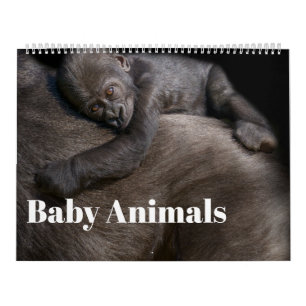 2027 Signature Babytierchen Kalender