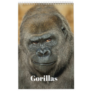 2027 Signature SloggerVlogger Gorilla-Familie Kalender