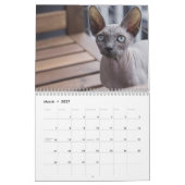 2027 Sphynx Kätzchen Kalender (Mär 2027)