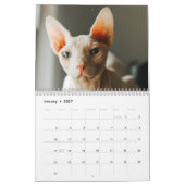 2027 Sphynx Kätzchen Kalender (Jan 2027)