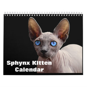 2027 Sphynx Kätzchen Kalender