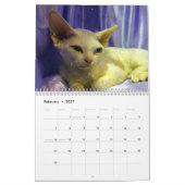 2027 Sphynx Kätzchen Kalender (Feb 2027)