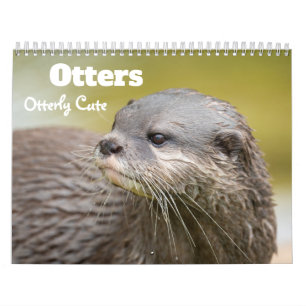2027 Spielende Otter Foto Kalender