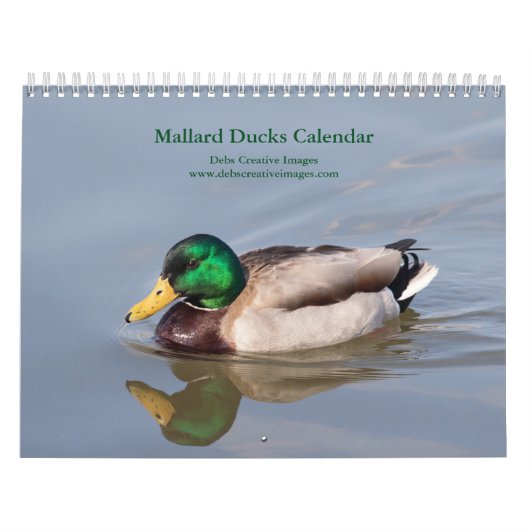 2027 Stockenten | Tierfotografie Kalender (Titelbild)