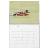2027 Stockenten | Tierfotografie Kalender (Jan 2027)