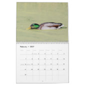 2027 Stockenten | Tierfotografie Kalender (Feb 2027)