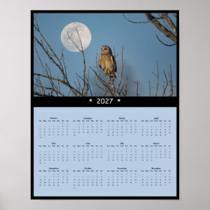 2027 Sumpfohreulen-Wandkalender - Graslandschaften Poster