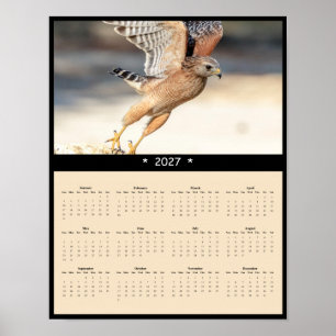 2027 Unreifer Rotschulterbussard-Wandkalender Poster