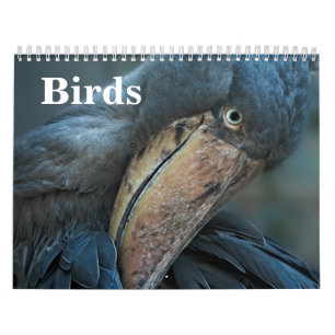 2027 Vögel Kalender