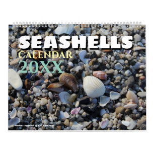 2027 Wand Strand Muscheln Kalender