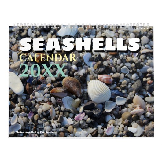 2027 Wand Strand Muscheln Kalender (Titelbild)