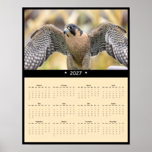 2027 Wanderfalken-Wandkalender - Himmeljäger Poster