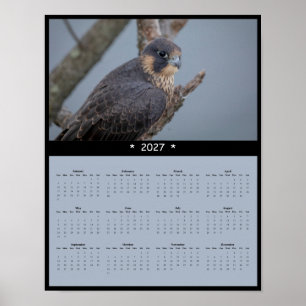 2027 Wanderfalken-Wandkalender Poster