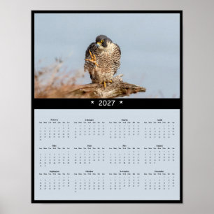 2027 Wanderfalken-Wandkalender - Speed Master Poster