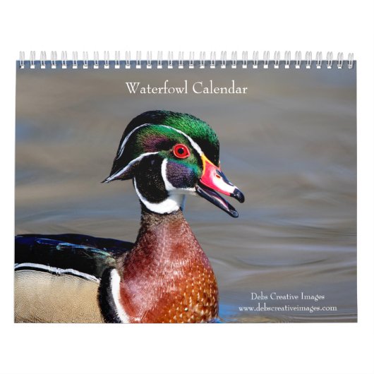 2027 Wasservögel & Sumpfvögel | New Yorker Wildtie Kalender (Titelbild)