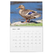 2027 Wasservögel & Sumpfvögel | New Yorker Wildtie Kalender (Mär 2027)