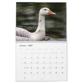 2027 Wasservögel & Sumpfvögel | New Yorker Wildtie Kalender (Jan 2027)