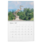 2027 Wasservögel & Sumpfvögel | New Yorker Wildtie Kalender (Feb 2027)