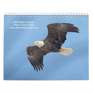 2027 Weißkopfseeadler Tierfotografie Kalender